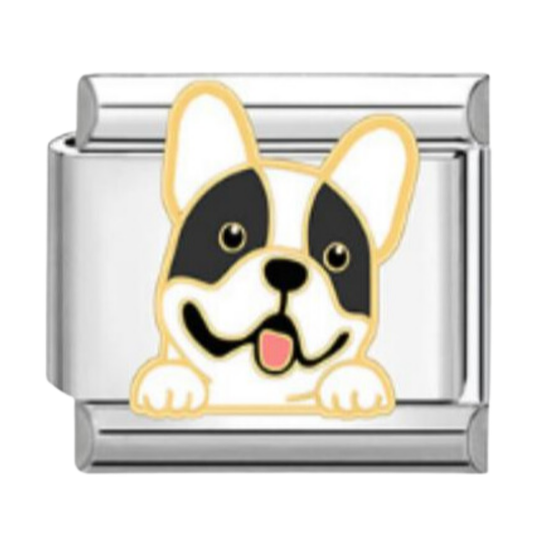Frenchie